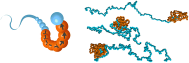 Graphical abstract: Conformation and dynamics of partially active linear polymers