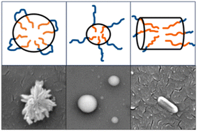 Graphical abstract: Tailoring lignin nanoparticle properties: the effects of pH and salt on shape and antioxidant capacity