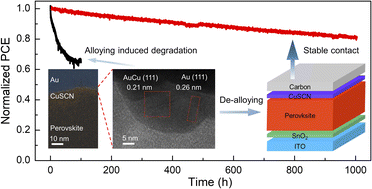 Graphical abstract: Unveiling and overcoming the interfacial degradation between CuSCN and metal electrodes in perovskite solar cells