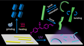 Graphical abstract: Multi-stimuli responsive organic polymorphic crystals: anisotropic elasticity and plasticity, mechanochromism and photomechanical motions