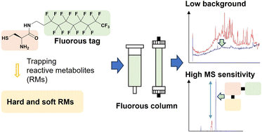 Graphical abstract: Development of a fluorous trapping reagent for rapid detection of electrophilic reactive metabolites