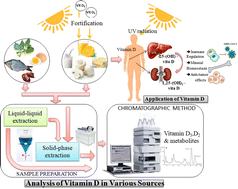 Graphical abstract: Recent development on the extraction, detection, and quantification of vitamin D from various sources – an update