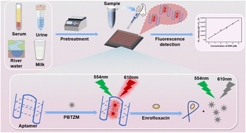 Graphical abstract: A label-free aptasensor based on a fluorescent probe containing styrylbenzothiazole for detection of enrofloxacin