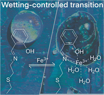 Graphical abstract: Inverse opals with reactive surface chemistry as sensors for aqueous pollutants