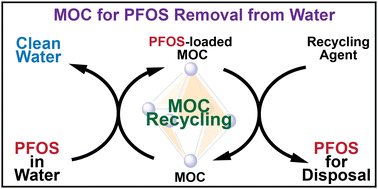 Graphical abstract: A molecular metal–organic cage as a recyclable sponge for PFOS removal from water