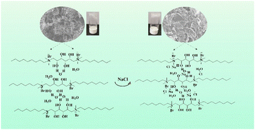 Graphical abstract: Bio-based hydrogels induced by salts