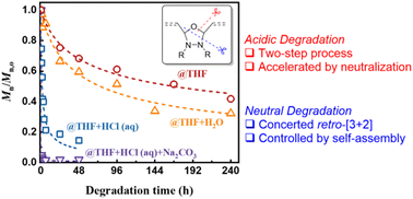 Graphical abstract: Elucidating the backbone degradation mechanism of poly(7-oxa-2,3-diazanorbornene)