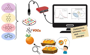 Graphical abstract: Fast detection of penicillium rot and the conservation status of packaged citrus fruit using an optical array sensor
