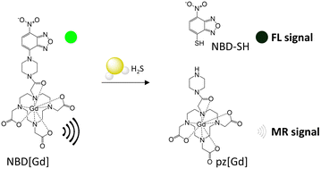 Graphical abstract: A water-soluble Gd(iii)-based fluorescence/T1-MR dual-modality probe for H2S sensing