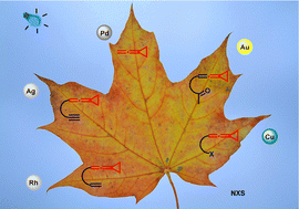 Graphical abstract: Recent transformations of vinylidene cyclopropanes (VDCPs)