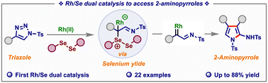 Graphical abstract: Rhodium/selenium dual catalysis for accessing 2-aminopyrroles from N-sulfonyl-1,2,3-triazoles