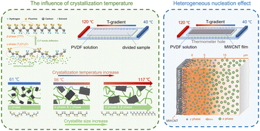 Graphical abstract: Structural revolution of PVDF crystallized on MWCNT film on a gradient temperature stage and its dielectric properties