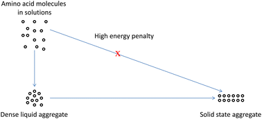 Graphical abstract: Does arginine aggregate formation in aqueous solutions follow a two-step mechanism?