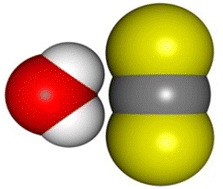 Graphical abstract: Water–carbon disulfide dimers: observation of a new isomer and ab initio structure theory