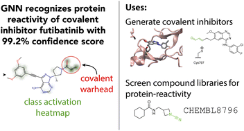Graphical abstract: Graph neural networks for identifying protein-reactive compounds