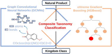 Graphical abstract: Composite machine learning strategy for natural products taxonomical classification and structural insights