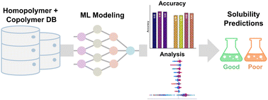 Graphical abstract: Predicting homopolymer and copolymer solubility through machine learning