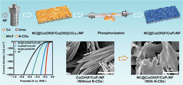 Graphical abstract: Nitrogen-doped carbon layer coated Co(OH)F/CoP2 nanosheets for high-current hydrogen evolution reaction in alkaline freshwater and seawater
