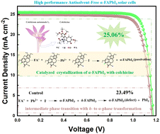 Graphical abstract: The tricyclic alkaloid catalyzed crystallization of α-FAPbI3 for high performance antisolvent-free perovskite solar cells