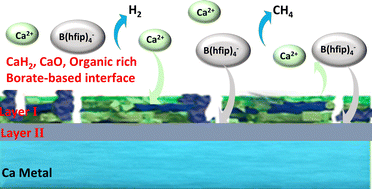 Graphical abstract: Deciphering the dynamic interfacial chemistry of calcium metal anodes