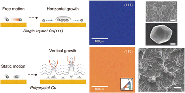 Graphical abstract: Horizontal lithium growth driven by surface dynamics on single crystal Cu(111) foil