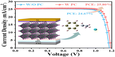 Graphical abstract: Buried interface modification for high performance and stable perovskite solar cells
