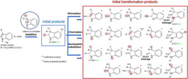 Graphical abstract: Identifying initial transformation products during chlorination of the indole moiety and unveiling their formation mechanisms