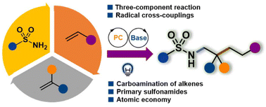 Graphical abstract: Catalytic three-component carboamination of unactivated alkenes with primary sulfonamides