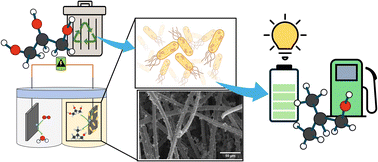 Graphical abstract: Co-production of bioelectricity and butanol by engineered Escherichia coli fed organic wastes in anodic fermentation