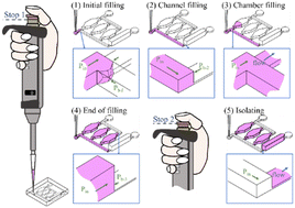 Graphical abstract: Pipette-operable microfluidic devices with hydrophobic valves in sequential dispensing with various liquid samples: multiplex disease assay by RT-LAMP