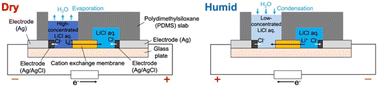 Graphical abstract: Microfluidic-based redesign of a humidity-driven energy harvester