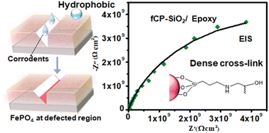 Graphical abstract: Tailored cerium phosphate/silica hybrid epoxy for enhanced corrosion protective coating