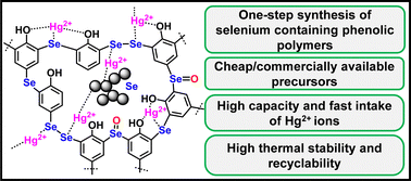 Graphical abstract: Arylselanyl motifs in hierarchically structured mesoporous phenolic polymers: efficient adsorption sites for Hg2+ ions