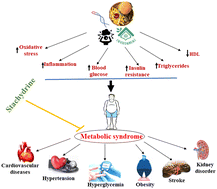 Graphical abstract: Stachydrine, a pyrrole alkaloid with promising therapeutic potential against metabolic syndrome and associated organ dysfunction