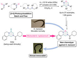Graphical abstract: Anti-Schistosomal activity and ADMET properties of 1,2,5-oxadiazinane-containing compound synthesized by visible-light photoredox catalysis