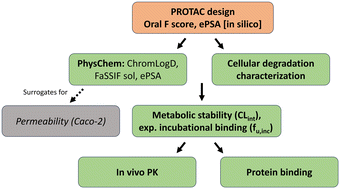 Graphical abstract: In vitro and in vivo ADME of heterobifunctional degraders: a tailored approach to optimize DMPK properties of PROTACs©