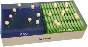 Graphical abstract: Self-assembly of isolated plasmonic dimers with sub-5 nm gaps on a metallic mirror