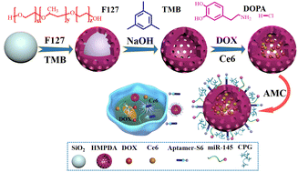 Graphical abstract: Study on the application of hollow mesoporous polydopamine as a nanoparticle drug carrier in tumor combination therapy