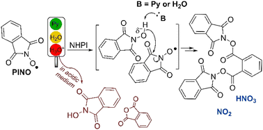 Graphical abstract: Operando FT-IR spectroscopy as a useful tool for elucidating the fate of phthalimide-N-oxyl catalytically active species