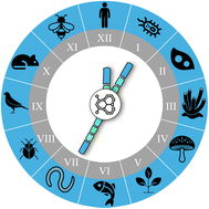 Graphical abstract: Exploring nature's battlefield: organismic interactions in the discovery of bioactive natural products