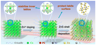 Graphical abstract: CsZnPbBr3/ZnS core/shell perovskite nanocrystals for stable and efficient white light-emitting diodes