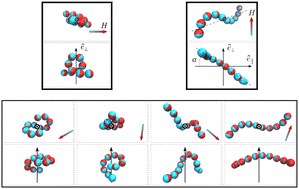 Graphical abstract: Dynamic response of a ferromagnetic nanofilament under rotating fields: effects of flexibility, thermal fluctuations and hydrodynamics