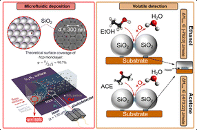 Graphical abstract: Convective assembly of silica colloidal particles inside photonic integrated chip-based microfluidic systems for gas sensing applications