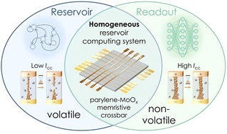 Graphical abstract: Parylene-MoOx crossbar memristors as a volatile reservoir and non-volatile readout: a homogeneous reservoir computing system