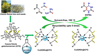 Graphical abstract: Copper(ii) nanodots stabilized on Cassia fistula galactomannan: preparation and catalytic application towards fast solvent-free Biginelli reactions