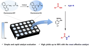 Graphical abstract: Development of boronic acid catalysts for direct amidation of aromatic carboxylic acids using fluorescence-based screening
