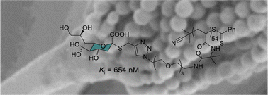 Graphical abstract: Multivalent inhibition of the Aspergillus fumigatus KDNase