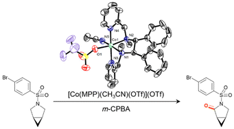 Graphical abstract: A synthetically useful catalytic system for aliphatic C–H oxidation with a nonheme cobalt complex and m-CPBA