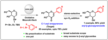 Graphical abstract: Synthesis of aryl enopyranones directly from glycals and aromatic halides to access 2-deoxy-β-C-aryl glycosides