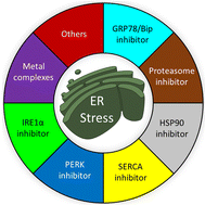 Graphical abstract: Small molecules for impairing endoplasmic reticulum in cancer